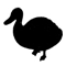 Ducks