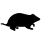 Hamsters
