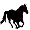 Horses